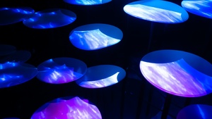 Blue, Purple, Black background, 4K wallpaper