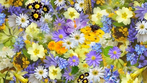 Colorful flowers, Vivid, Yellow flowers, Blossom, Bloom, 4K wallpaper