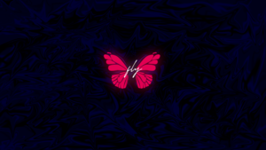 Butterfly, Neon, Glowing, Dark background, AMOLED, Dark aesthetic, 4K wallpaper