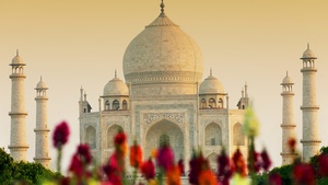 Taj Mahal, Agra, India, UNESCO World Heritage Site, Wonders of the World, 4K wallpaper
