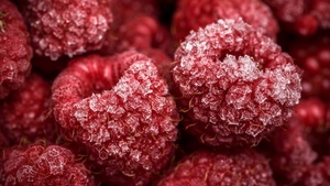 Closeup, Macro, 4K wallpaper