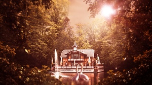 White Swan, House, Forest, Trees, Sun light, Lake, 4K wallpaper