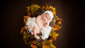 Newborn, White Dress, Fur, Autumn leaves, Brown, Dark background, Cute Baby, Basket, Brown aesthetic, 4K wallpaper