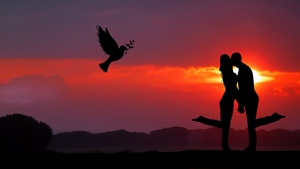 Couple, Sunrise, Together, Romantic, Dove, Silhouette, 4K wallpaper