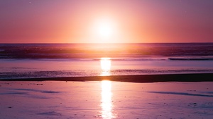 Sunset, Seascape, Reflection, Beach, Seashore, Dawn, Kalaloch, 4K wallpaper