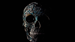Skull, Human, Skeleton, Black background, Art, 4K wallpaper