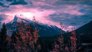 Mount Rundle, Canada, Golden hour, Clouds, Purple sky, Trees, Sunset, Mountain Peak, 4K wallpaper
