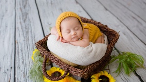Newborn, Yellow Dress, Sleeping baby, Basket, Sunflowers, Wooden Floor, Cute Baby, Green leaves, 4K wallpaper