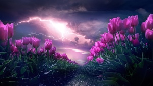 Pink flowers, Path, Thunderstorm, Dark Sky, Lightning, 4K wallpaper