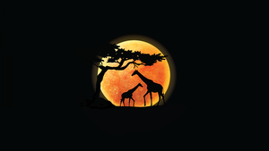 Giraffe, Silhouette, Sunset, AMOLED, Black background, Minimalist, 4K wallpaper