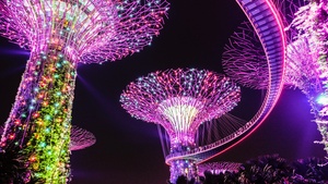 Lighting, Purple, Colorful lights, Garden, Night, Singapore, 4K wallpaper