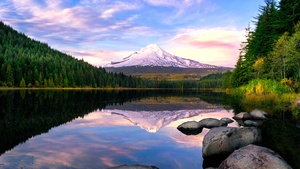 Mount Hood, Pine trees, Forest, Reflection, Oregon, USA, 4K wallpaper