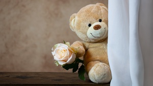 Teddy bear, Rose, Cute toy, Gift, Valentines Day, 4K wallpaper