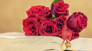 Red Roses, Book, Valentines Day, 4K wallpaper