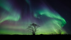 Aurora Borealis, Northern Lights, Night, 4K wallpaper