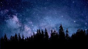 Night, Starry sky, Forest, Silhouette, Astronomy, Cosmos, 4K wallpaper