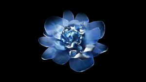 Abstract flower, Metallic, AMOLED, Black background, Xiaomi, Stock, 4K wallpaper