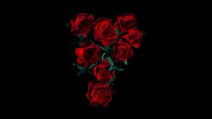 Red Roses, Flower bouquet, Black background, Dark red, 4K wallpaper