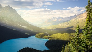 Banff National Park, Peyto Lake, Canadian Rockies, Mountains, Forest, Daylight, Sunny day, Summer, Canada, Aesthetic, 4K wallpaper