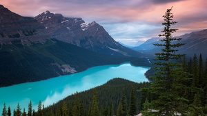 Peyto Lake, Mountains, Turquoise, Evening, Sunset, Canada, 4K wallpaper