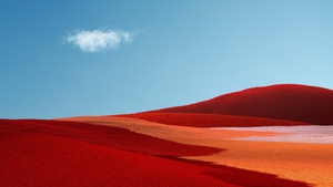 Red Grass, Landscape, Grass field, Clear sky, Blue Sky, Microsoft Surface Pro X, Stock, 4K wallpaper