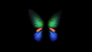Butterfly, Samsung Galaxy Fold, Black background, Stock, Simple, 4K wallpaper