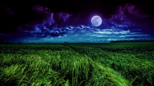 Moon, Landscape, Night, Field, Cloudy, 4K wallpaper