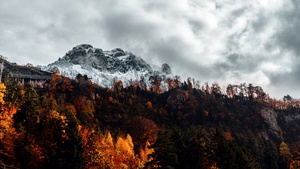 Alps, Autumn, Alps mountains, Forest, Wilderness, Landscape, Switzerland, 4K wallpaper