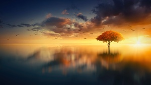 Tree, Sunrise, Birds, Reflection, Seascape, Aesthetic, 4K wallpaper