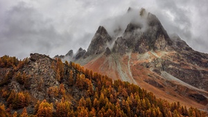 Mountains, Forest, Autumn, Foggy, Peak, Switzerland, 4K wallpaper
