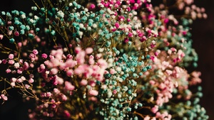 Colorful flowers, Flower bouquet, Blossom, 4K wallpaper