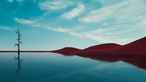 Lone tree, Lake, Dry fields, Clear sky, Reflections, Landscape, Summer, Fusion, 4K wallpaper