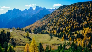 Sunny day, Landscape, Forest, Mountains, Autumn, 4K wallpaper