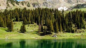 Pine trees, Spring, Reflection, Mountain, Peak, Switzerland, 4K wallpaper