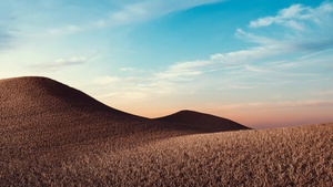 Dry fields, Sunny day, Summer, Landscape, 4K wallpaper