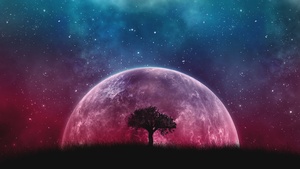 Lone tree, Planet, Surreal, Night, Silhouette, Starry sky, Aesthetic, 4K wallpaper