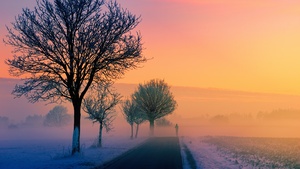 Golden hour, Foggy, Sunrise, Morning, Winter, Road, 4K wallpaper