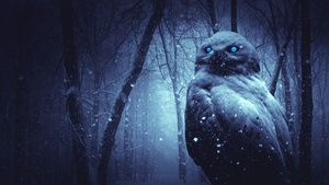 Owl, Forest, Winter, Dark, Night, Blue eyes, Scary, Snowfall, 4K wallpaper