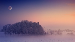 Winter, Aesthetic, Morning, Foggy, Moon, Landscape, Cold, 4K wallpaper