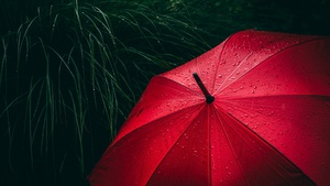 Umbrella, Red, Rain droplets, Rainy day, Dark red, 4K wallpaper