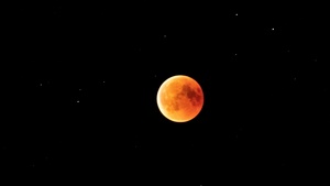 Lunar Eclipse, Blood Moon, Starry sky, Astronomy, Black background, 4K wallpaper