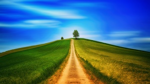 Landscape, Green, Path, Countryside, Daytime, Summer, 4K wallpaper
