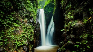 Waterfall, Forest, Rocks, Green Moss, Mossy rocks, 4K wallpaper