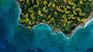 Fantasy Island, Aerial view, Forest, Ocean, 2020, 4K wallpaper