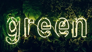 Green, Neon sign, Plant, Illuminated, Leaves, 4K wallpaper
