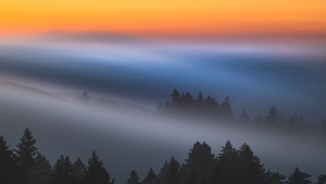 Sunrise, Dawn, Early Morning, Foggy, 4K wallpaper