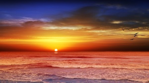 Beach, Dusk, Sunset, Seascape, Evening, Ocean, 4K wallpaper