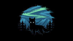 Wolf, Aurora Borealis, Black background, 4K wallpaper
