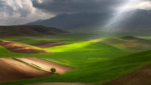 Landscape, Lone tree, Green Fields, Dramatic, Sunbeam, Rolling hills, Stormy Clouds, Sunlight, Vibrant, Green Grass, Countryside, Mountains, Mood, Solitude, Italy, 4K wallpaper