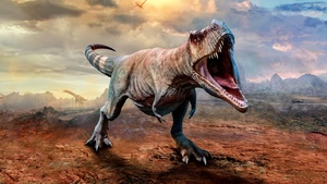 Tyrannosaurus, Dinosaur, T Rex, 4K wallpaper
